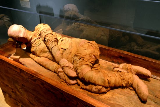 Mummy, Michael C. Carlos Museum