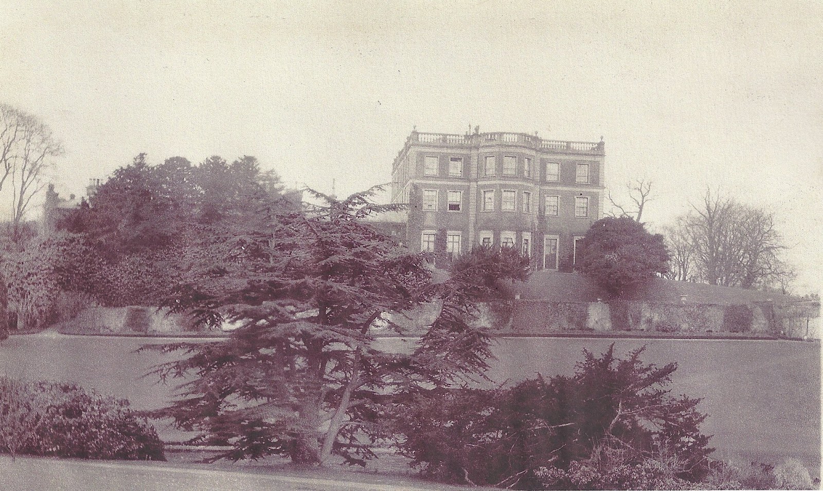 Lord Belmont in Northern Ireland Belvoir House 1914