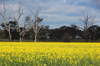 Tackling food security with a growing population, climate change and peak oil thumbnail