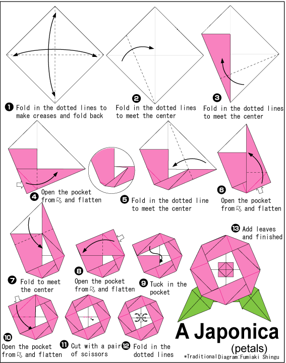 Cara Membuat Origami Bunga Kamelia | Camellia | Cara Membuat Origami