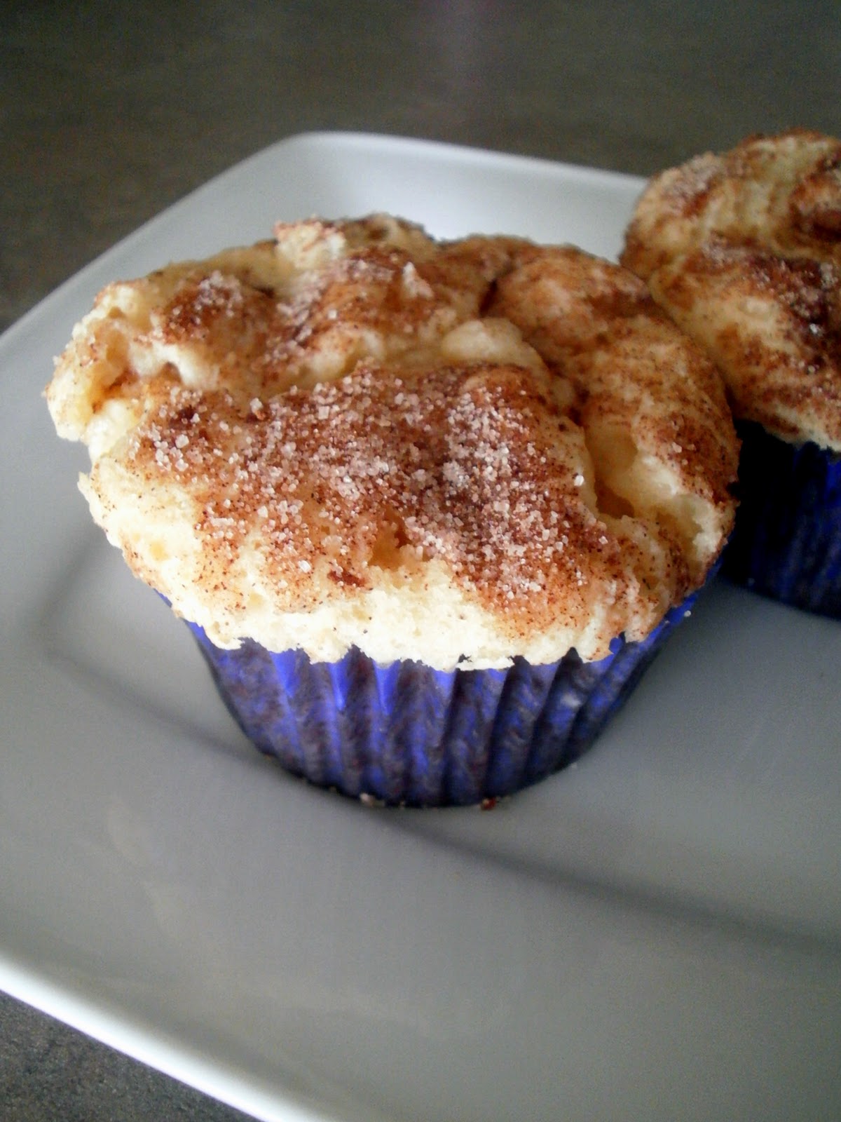 The Busty Baker Snickerdoodle Muffins