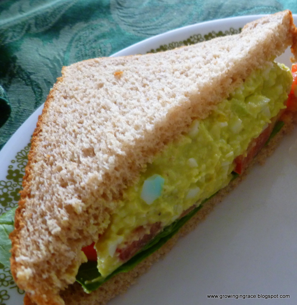 Growing in Grace Greek Yogurt Egg Salad with Avocado