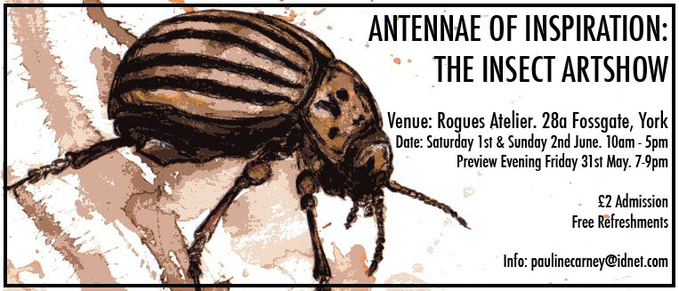 Antennae of Inspiration: The Insect Artshow