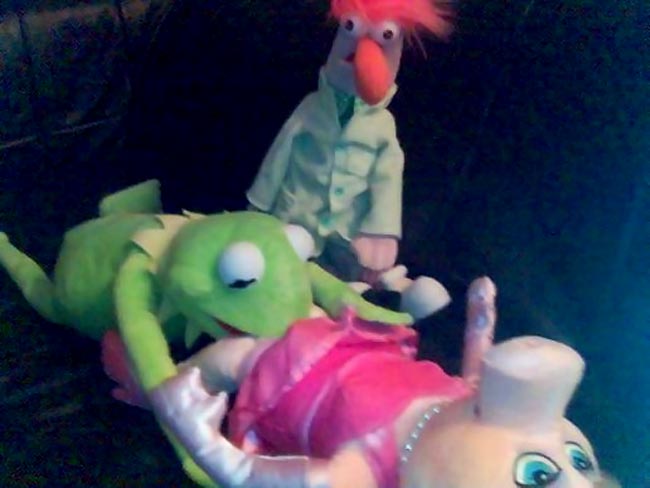 Though id show some pics of the Muppets Gone Wild. 