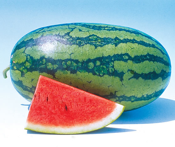30867_watermelon.jpg