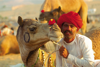 Rajasthan Tours Rajasthan Tours