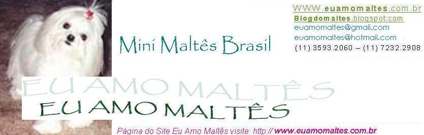 Mini Maltes Brasil