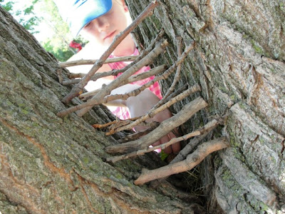 build a fairy house