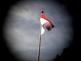 Jumlah luas wilayah kepadatan penduduk tiap provinsi di Indonesia Jumlah luas wilayah kepadatan penduduk tiap provinsi di Indonesia