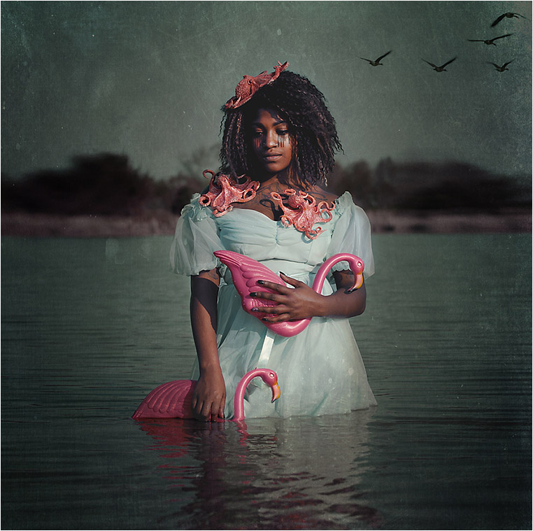 emerging photographers, Best Photo of the Day in Emphoka by Tara Denny, https://flic.kr/p/rz4gZA emerging photographers, Best Photo of the Day in Emphoka by Tara Denny, https://flic.kr/p/rz4gZA