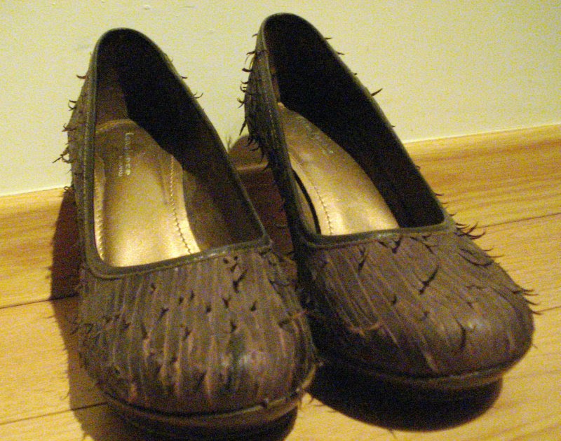 loja de sapato constance