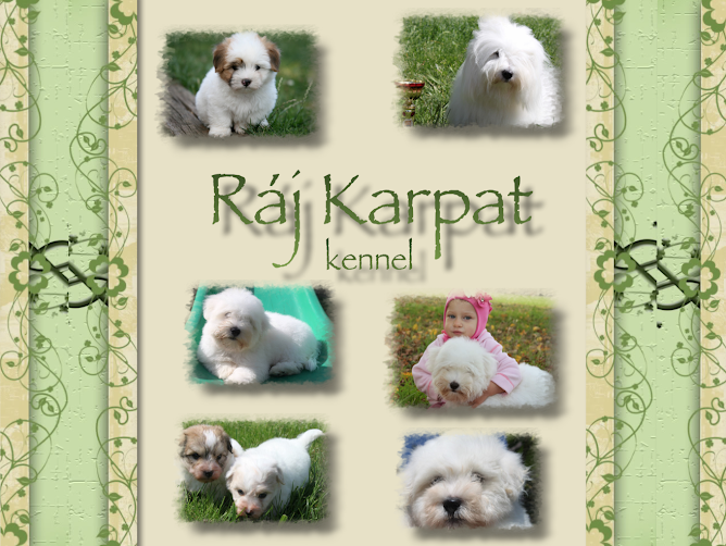 RAJ KARPAT KENNEL