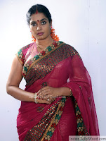 Jayavani Latest Saree Photos 3 pic 5