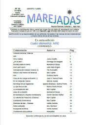 Revista MAREJADAS - Nº 49 - 2º semestre 2020