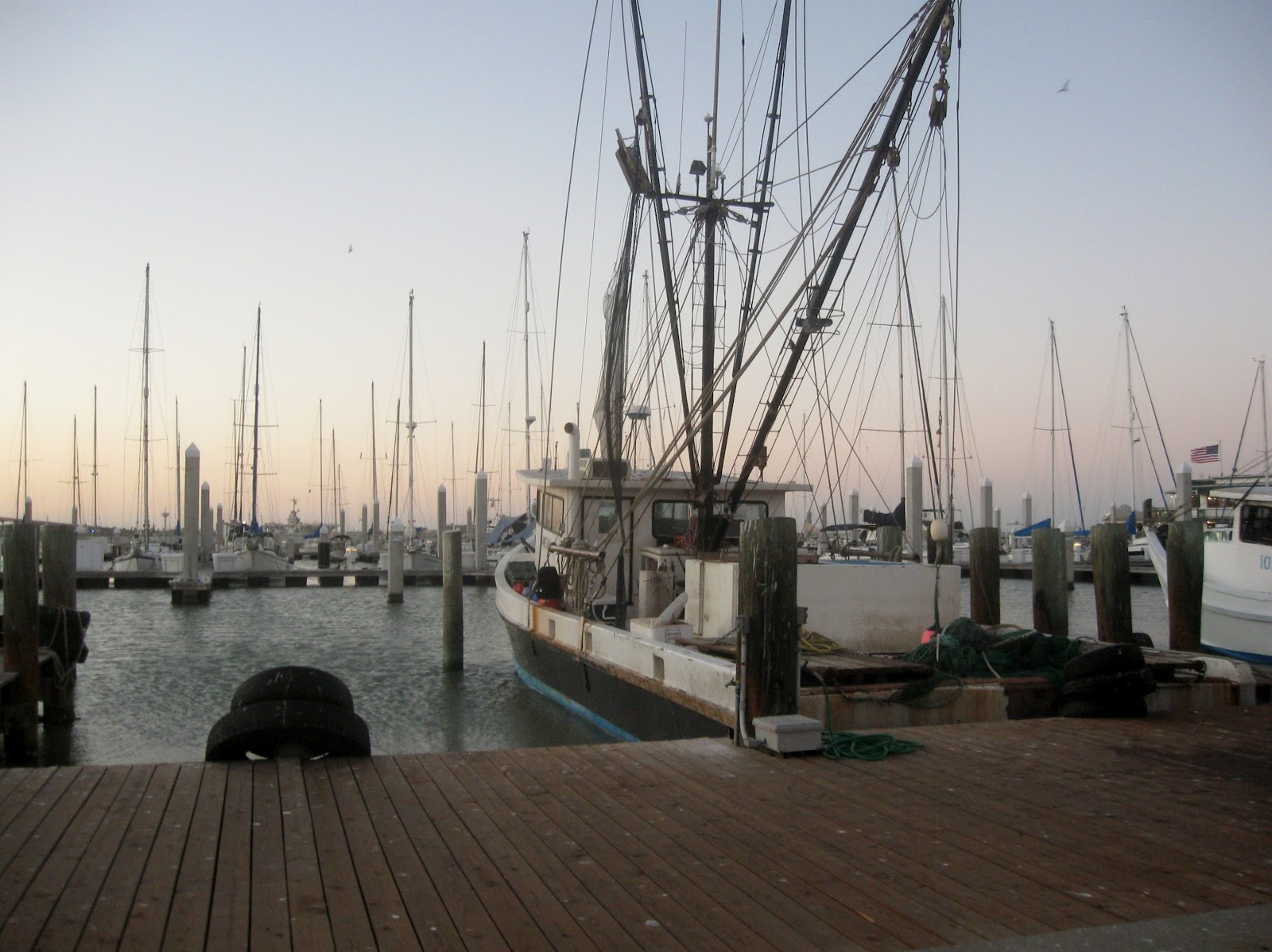 speed dating corpus christi tx