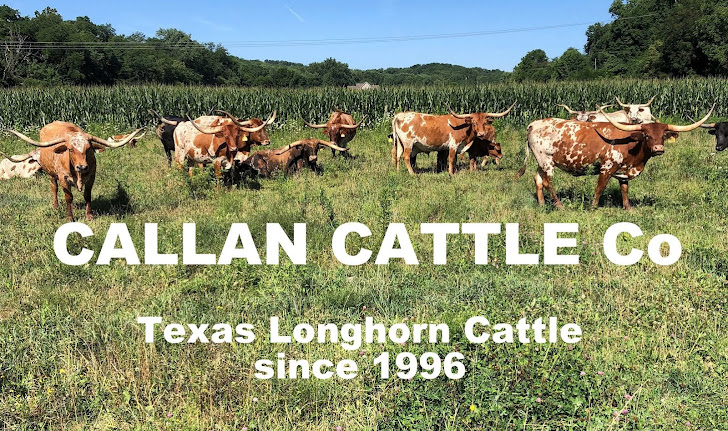 CALLAN CATTLE Co