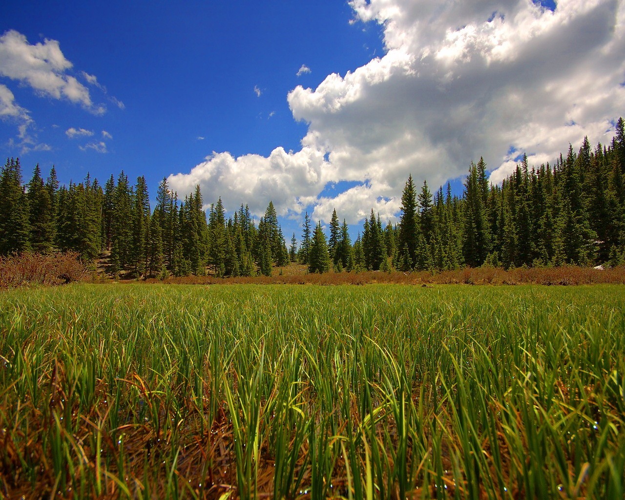 wallpaper: 200+ Nature High Definition Wallpapers