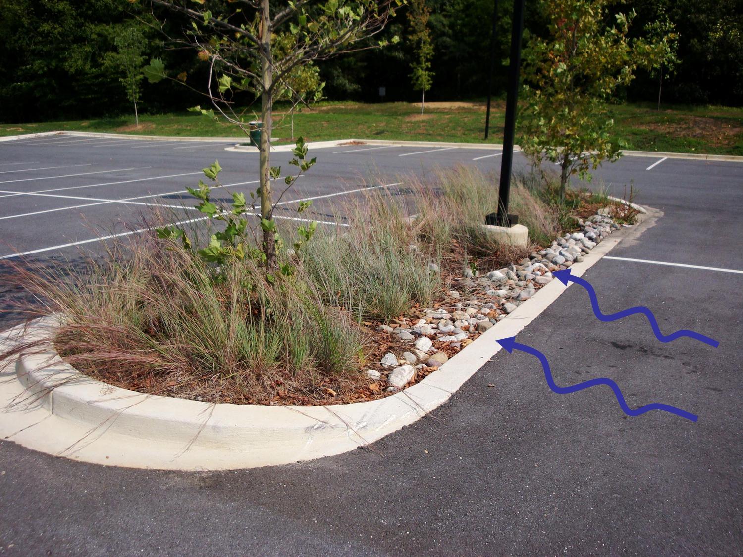 WALK LAUREL Doing Parking Islands the right way