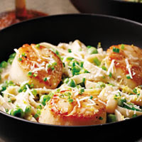 Creamy Scallop & Pea Fettuccine