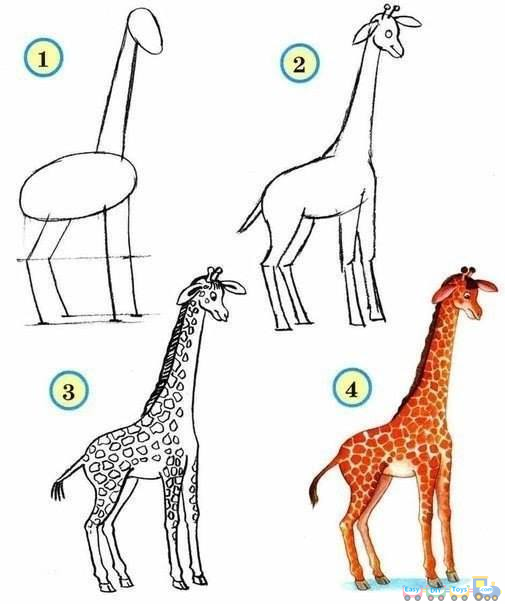 Drawing Simple Animal Giraffe pics Drawing Simple Animal Giraffe pics
