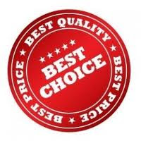 Web Hosting Services In India