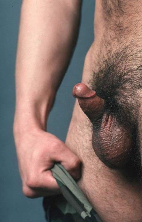 nude tits with cool guns leprechaun midget census taker captured