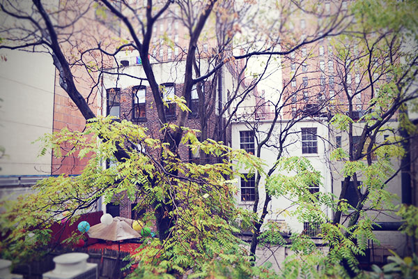New York Hinterhof Terrassen Oktober 2013