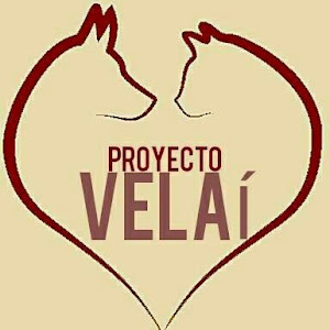 PROYECTO VELAÍ