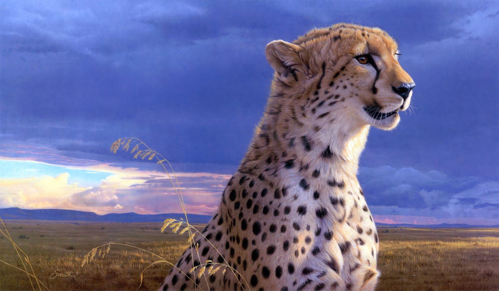 O Livro da Natureza: Guepardo