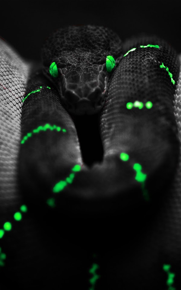 Black Snake Neon Green Android Wallpaper
