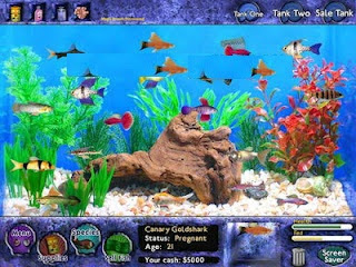 Fish Tycoon Portable ~ Size 13MB