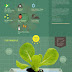 Infographic Budidaya Hidroponik Infographic Budidaya Hidroponik