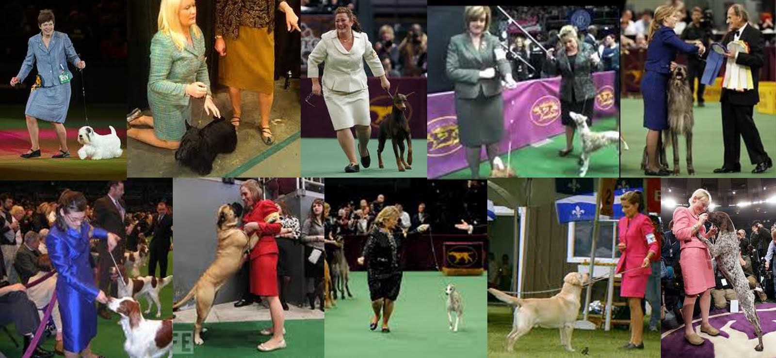 A Rural Rube The Fashion Police hit the Westminster Dog Show