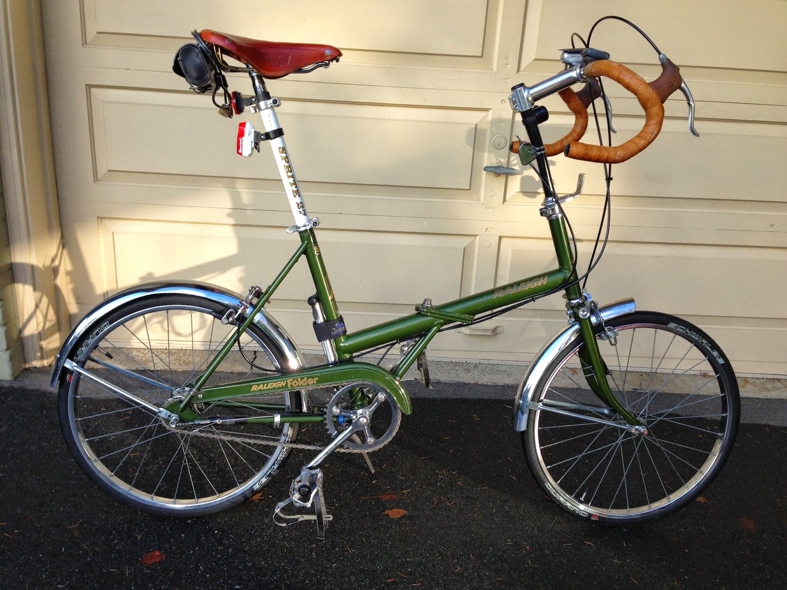 raleigh twenty
