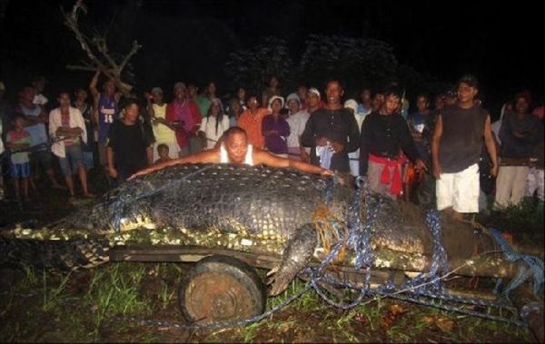 biggest-largest-crocodile-saltwater-crocodiles-in-Philippines-crocodile-photos1.jpg