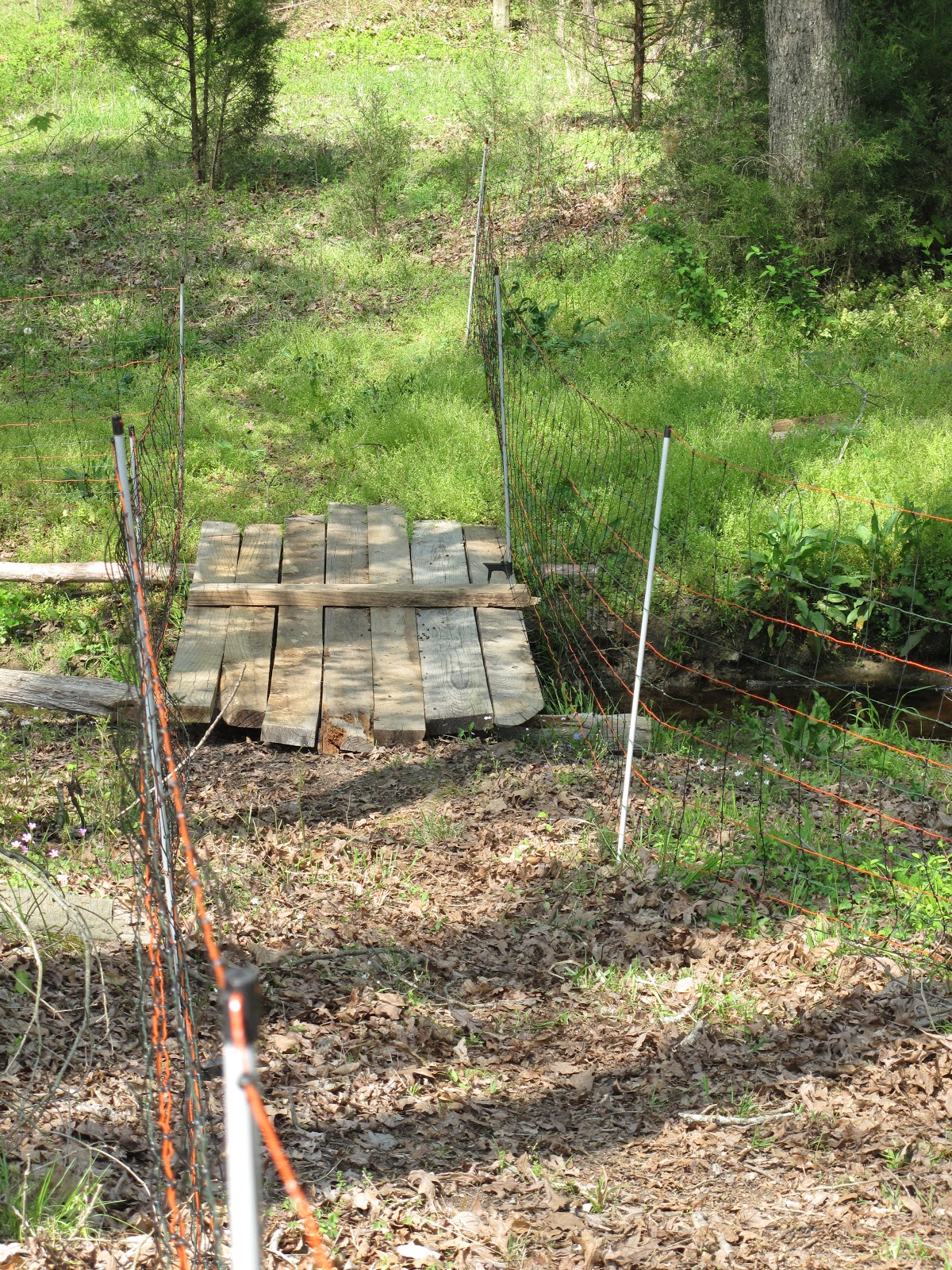 Wings of Dawn Farm Goat Bridge