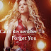 SHAKIRA - CAN'T REMEMBER TO FORGET YOU LYRICS ft. Rihanna