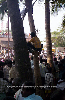 Watching Jallikattu 