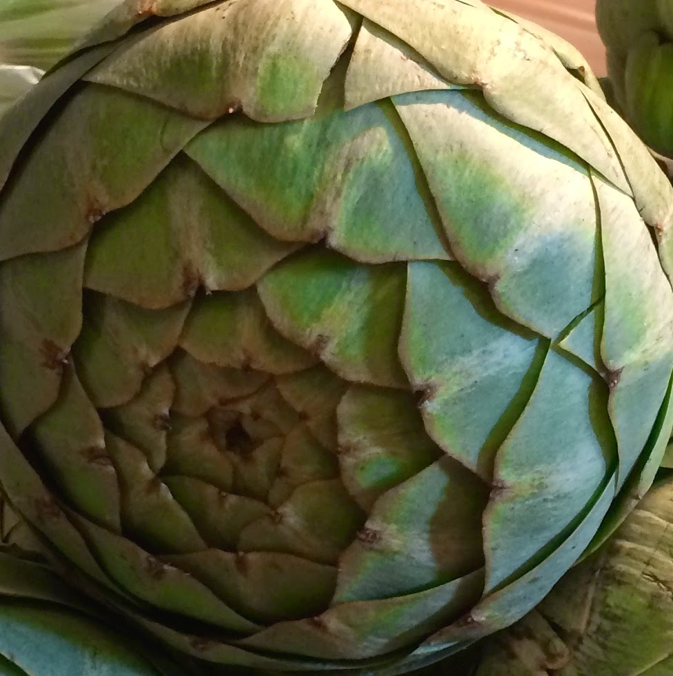 The Polymath Chronicles The Art of the Artichoke Redux