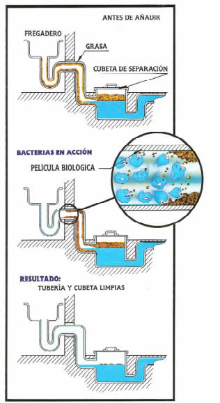 Cañerias Limpias