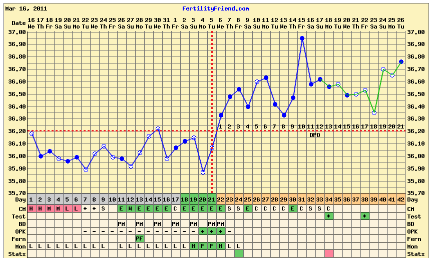Bbt charts showing pregnancy