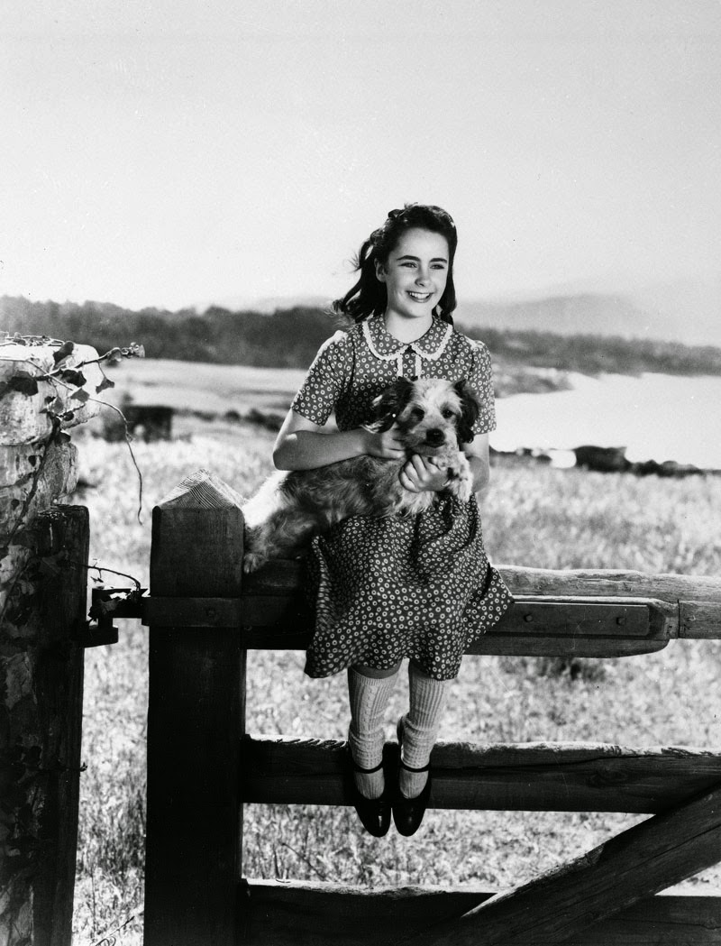 Elizabeth-Taylor-in-1944s-National-Velvet.jpg