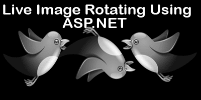 Image Flipping Using ASP.NET(WebImage helper)