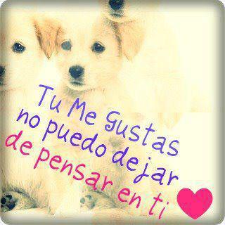 Imagenes Tiernas Gratis Para Facebook | todo en frases tiernas imagenes de amor facebook Imagenes Tiernas Gratis Para Facebook | todo en frases tiernas imagenes de amor facebook