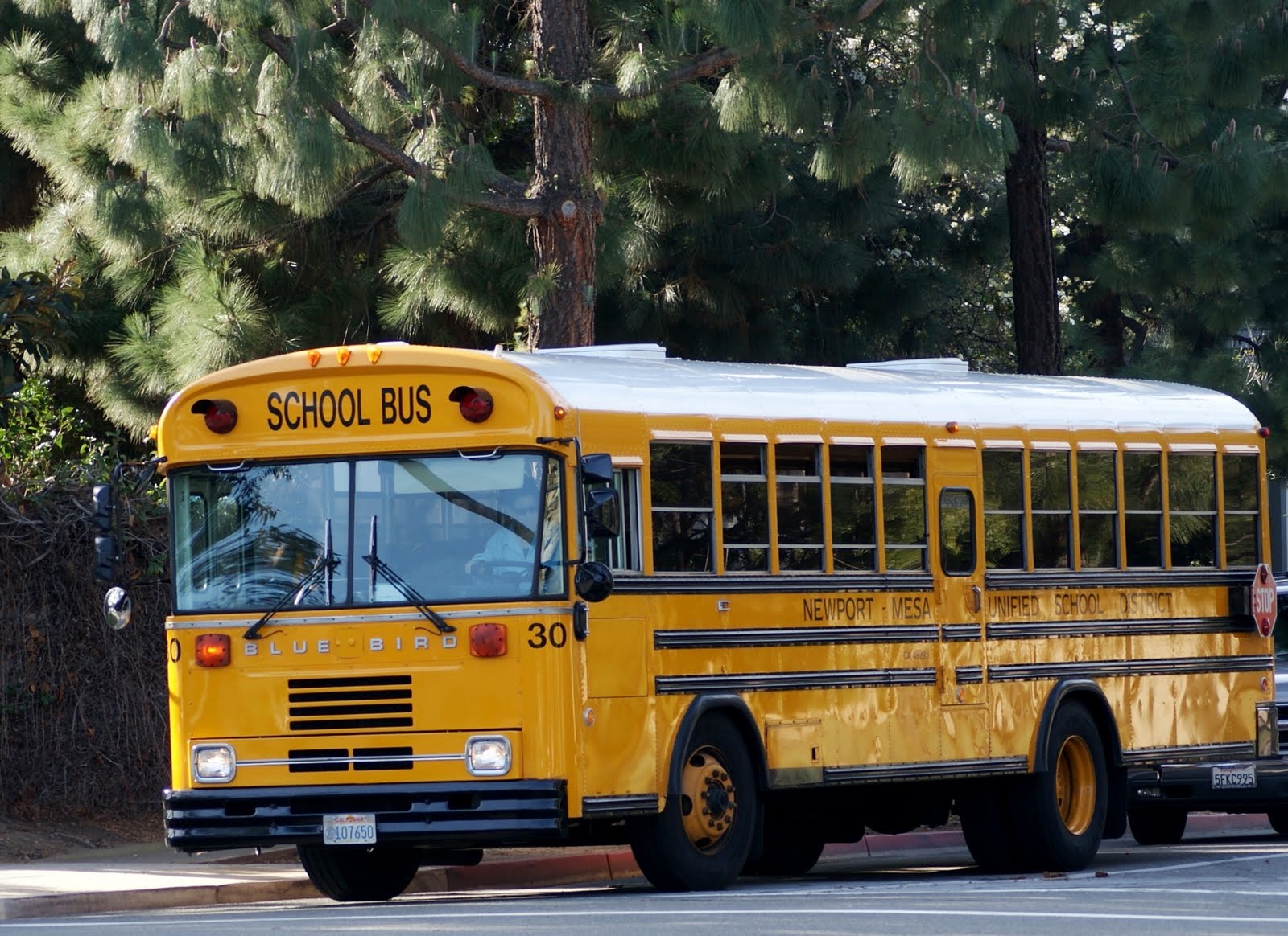 Indian School Bus