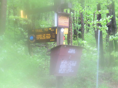 trail signs in rain