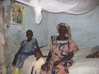 Essays On Malaria