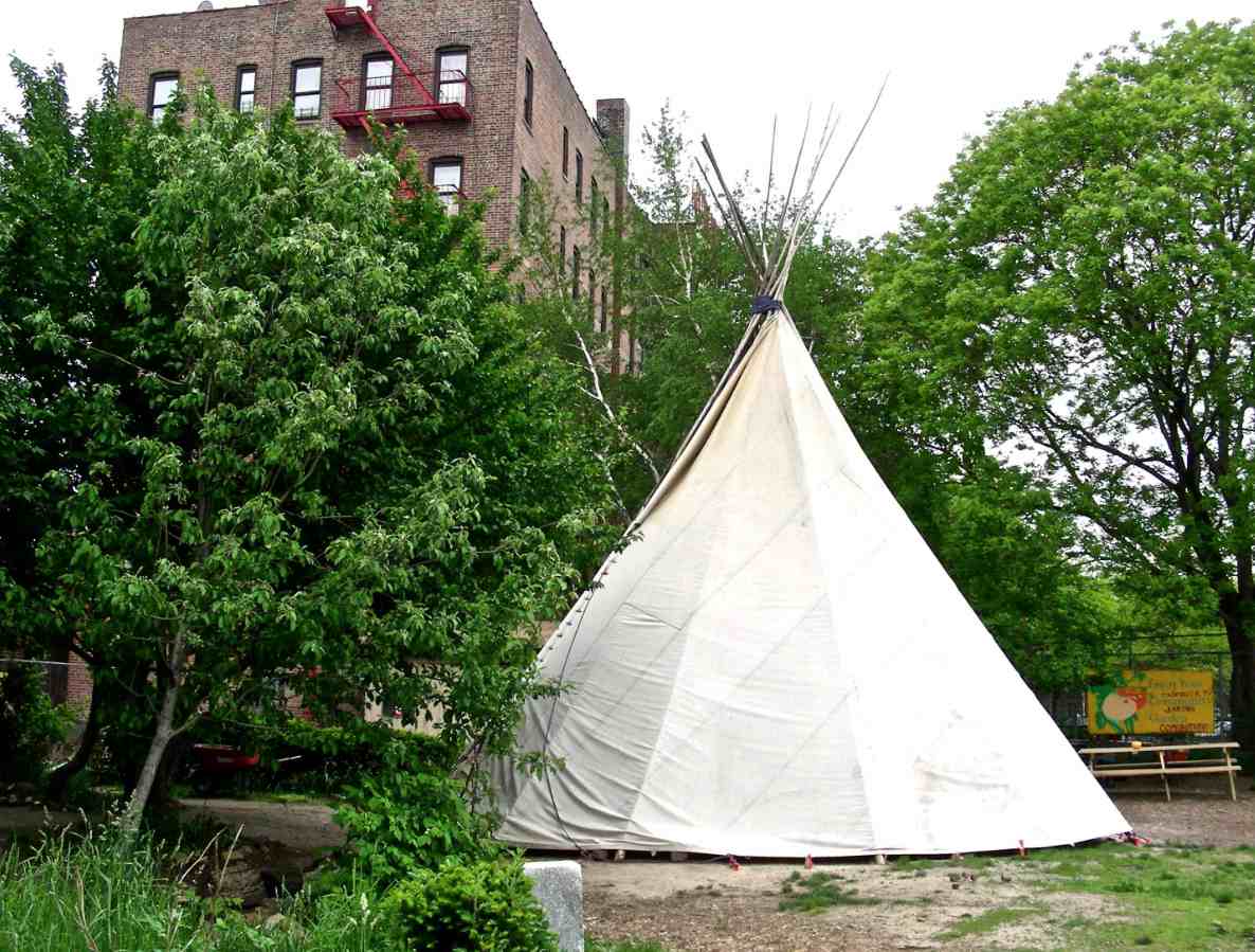 The Indian wants the Bronx