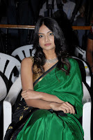 Its My Love Story Movie Audio Launch