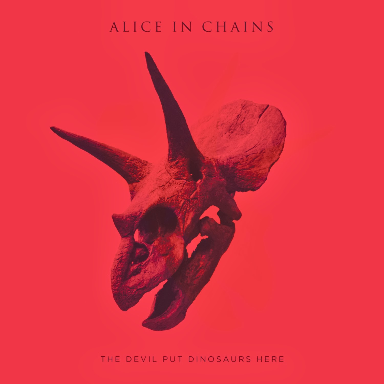 AFGM Alice In Chains The Devil Put A Review Here
